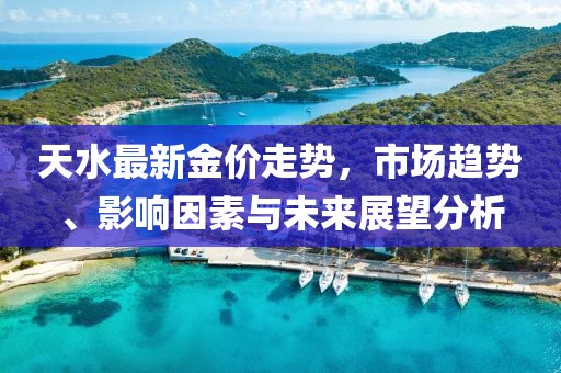 天水最新金价走势，市场趋势、影响因素与未来展望分析