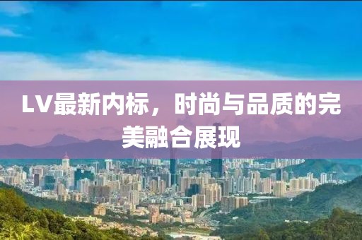 LV最新内标，时尚与品质的完美融合展现