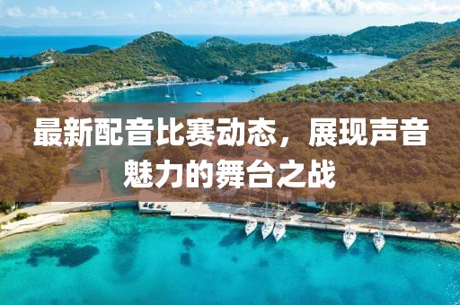 最新配音比赛动态，展现声音魅力的舞台之战