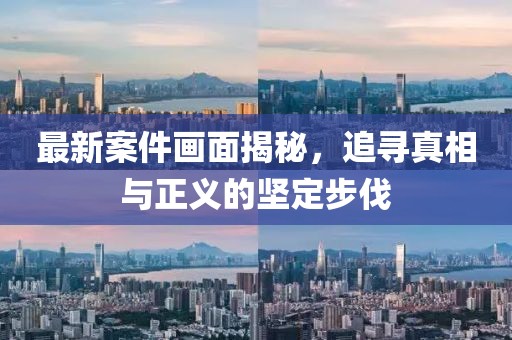 最新案件画面揭秘，追寻真相与正义的坚定步伐