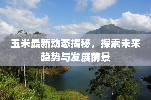 玉米最新动态揭秘，探索未来趋势与发展前景