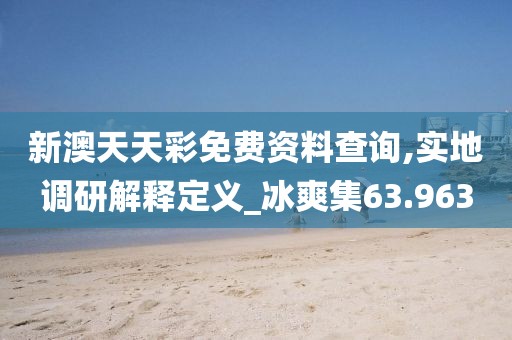 新澳天天彩免费资料查询,实地调研解释定义_冰爽集63.963