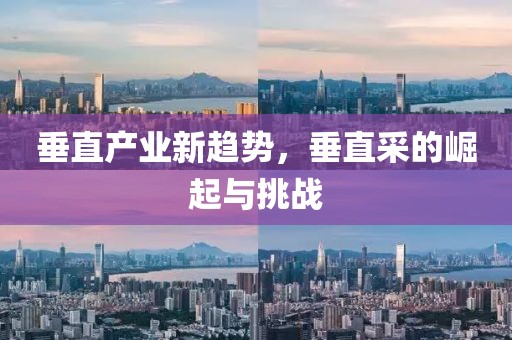 垂直产业新趋势，垂直采的崛起与挑战