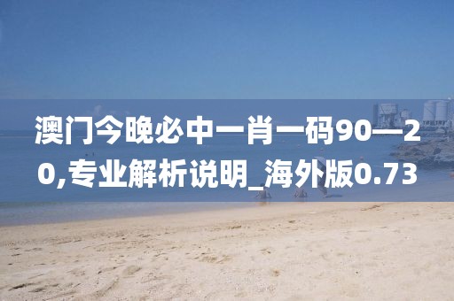 澳门今晚必中一肖一码90—20,专业解析说明_海外版0.73