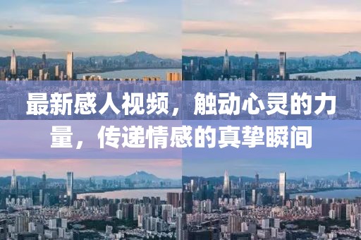 最新感人视频，触动心灵的力量，传递情感的真挚瞬间