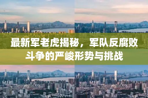 最新军老虎揭秘，军队反腐败斗争的严峻形势与挑战