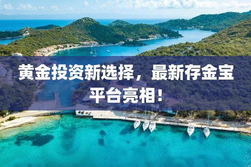 黄金投资新选择，最新存金宝平台亮相！