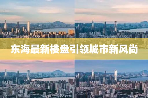 东海最新楼盘引领城市新风尚