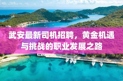 武安最新司机招聘，黄金机遇与挑战的职业发展之路