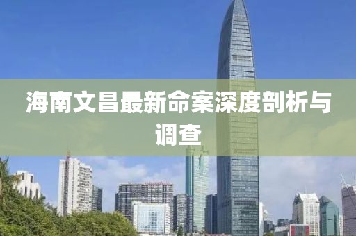 海南文昌最新命案深度剖析与调查