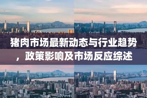 猪肉市场最新动态与行业趋势，政策影响及市场反应综述