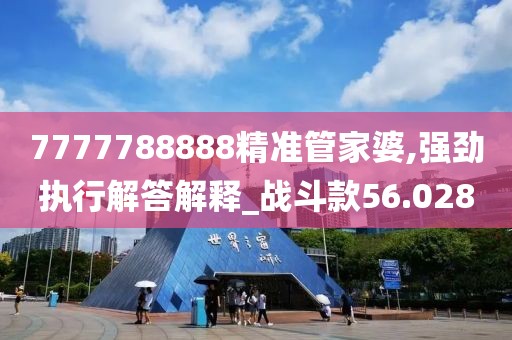 7777788888精准管家婆,强劲执行解答解释_战斗款56.028