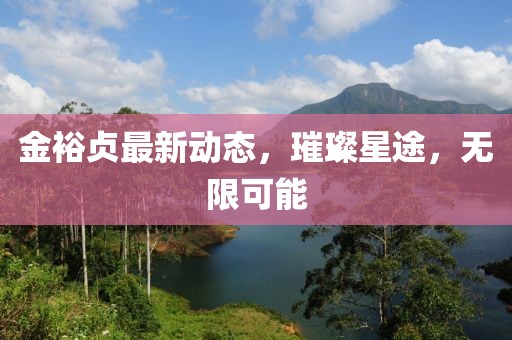 金裕贞最新动态，璀璨星途，无限可能