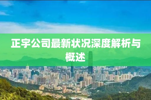 正宇公司最新状况深度解析与概述