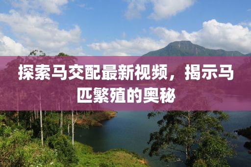 探索马交配最新视频，揭示马匹繁殖的奥秘