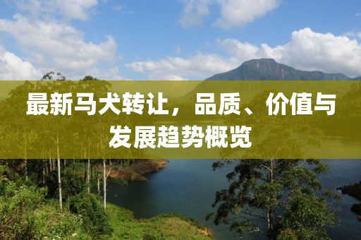 最新马犬转让，品质、价值与发展趋势概览