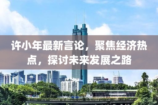 许小年最新言论，聚焦经济热点，探讨未来发展之路