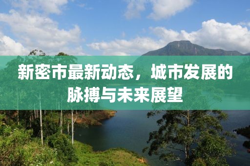 新密市最新动态，城市发展的脉搏与未来展望