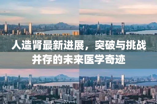 人造肾最新进展，突破与挑战并存的未来医学奇迹