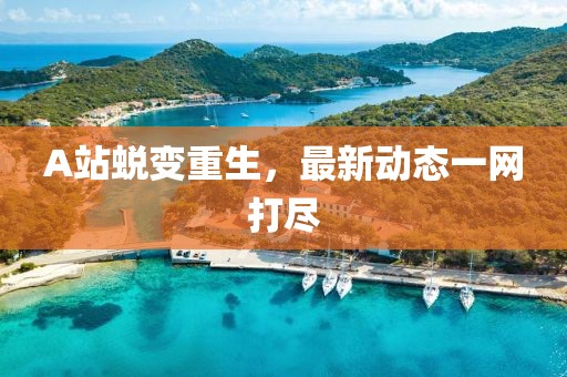 A站蜕变重生，最新动态一网打尽
