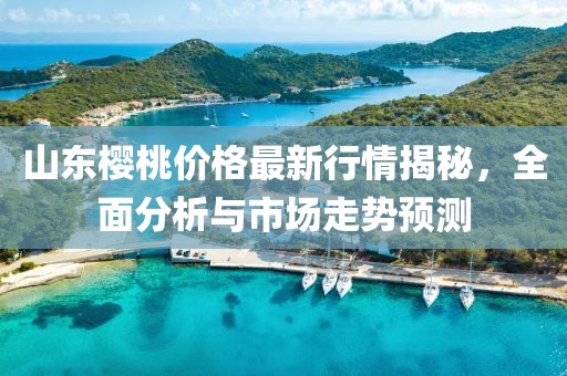 山东樱桃价格最新行情揭秘，全面分析与市场走势预测