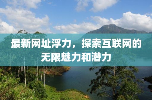 最新网址浮力，探索互联网的无限魅力和潜力