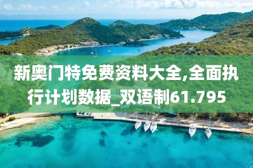 新奥门特免费资料大全,全面执行计划数据_双语制61.795