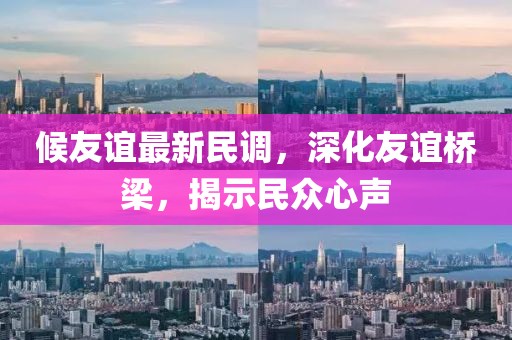 候友谊最新民调，深化友谊桥梁，揭示民众心声