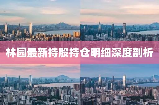林园最新持股持仓明细深度剖析
