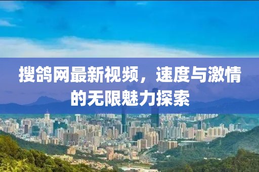 搜鸽网最新视频，速度与激情的无限魅力探索