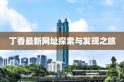 丁香最新网址探索与发现之旅