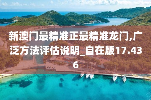 新澳门最精准正最精准龙门,广泛方法评估说明_自在版17.436