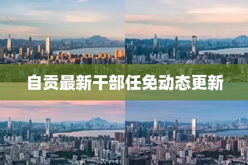 自贡最新干部任免动态更新