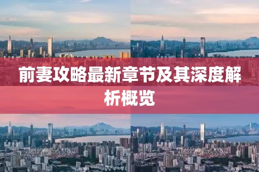 前妻攻略最新章节及其深度解析概览
