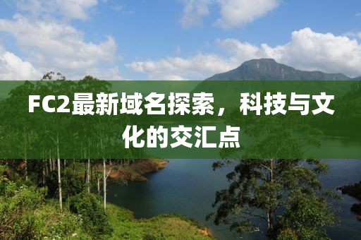 FC2最新域名探索，科技与文化的交汇点