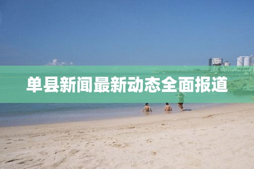 单县新闻最新动态全面报道