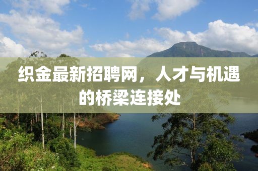 织金最新招聘网，人才与机遇的桥梁连接处