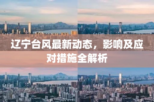 辽宁台风最新动态，影响及应对措施全解析
