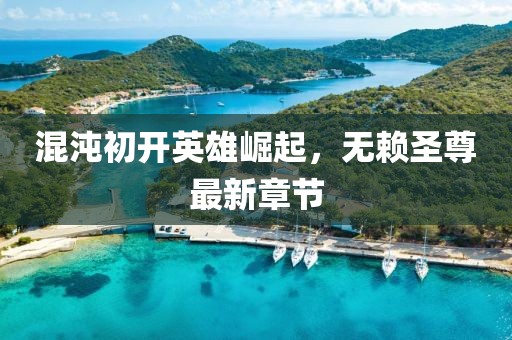 混沌初开英雄崛起，无赖圣尊最新章节