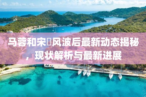 马蓉和宋喆风波后最新动态揭秘，现状解析与最新进展