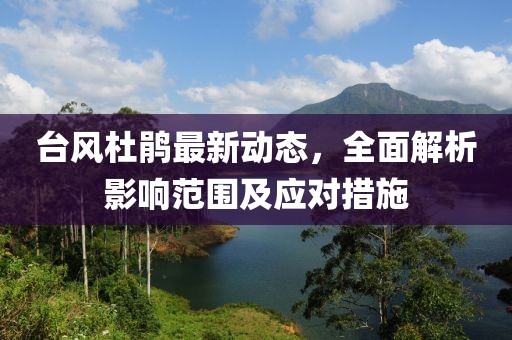 台风杜鹃最新动态，全面解析影响范围及应对措施