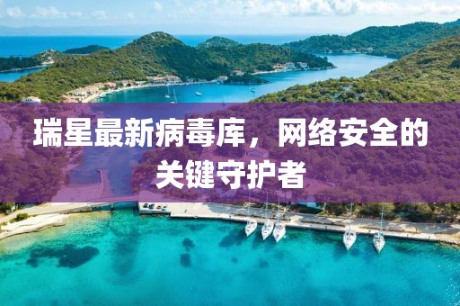 瑞星最新病毒库，网络安全的关键守护者