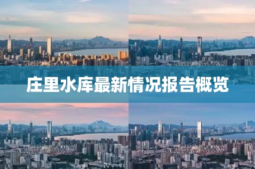 庄里水库最新情况报告概览