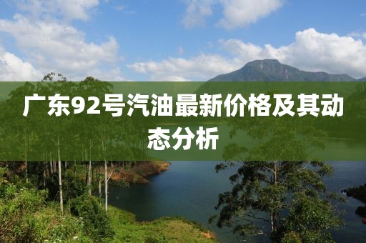 广东92号汽油最新价格及其动态分析