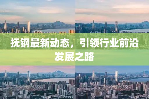 抚钢最新动态，引领行业前沿发展之路