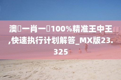 澳門一肖一碼100%精准王中王,快速执行计划解答_MX版23.325