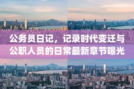 公务员日记，记录时代变迁与公职人员的日常最新章节曝光