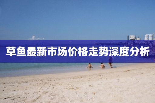 草鱼最新市场价格走势深度分析