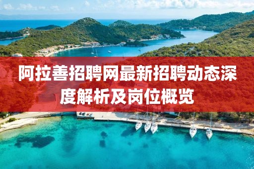 阿拉善招聘网最新招聘动态深度解析及岗位概览