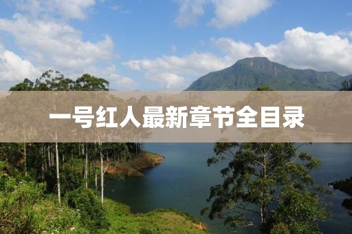一号红人最新章节全目录